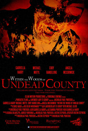 Poster Within the Woods of Undead County 2013