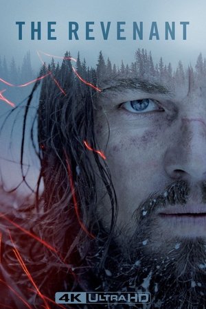 poster The Revenant