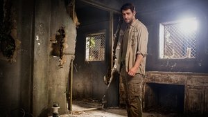 Ver Zoo 3×10 Temporada 3 Capitulo 10 Online