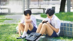 Love Sick ( 2024 )