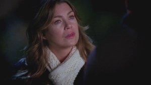 Grey’s Anatomy 5 x 17