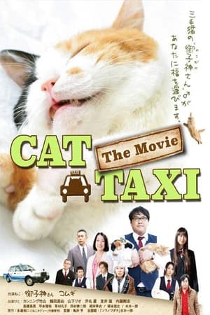 Cat Taxi 2010