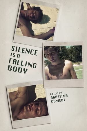 Poster Silence Is a Falling Body (2017)