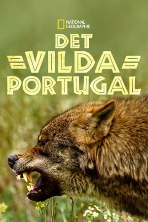 Poster Wild Portugal 2020