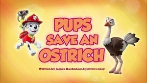 Paw Patrol Helfer auf vier Pfoten: 5×2