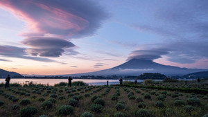 Kasagumo, protecteur du mont Fuji