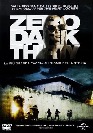 Poster di Zero Dark Thirty