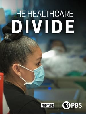 Poster The Healthcare Divide 2021