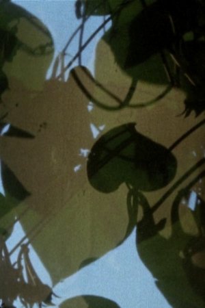 Nonton film Arsenic (2011) terbaru sub indo Nonton film Arsenic (2011) terbaru sub indo