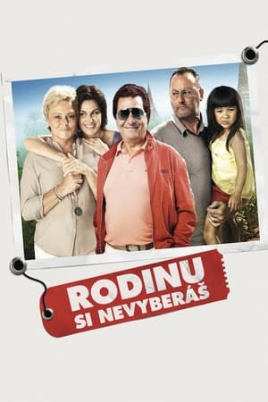 Poster Rodinu si nevyberáš 2011