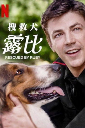 搜救犬露比