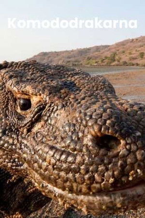 Une vie de dragon (2026)