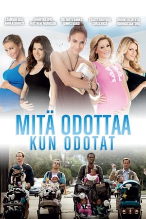 Mitä odottaa kun odotat (2012)