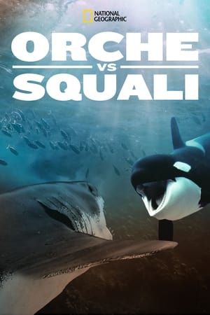 Image Orca Vs. Great White