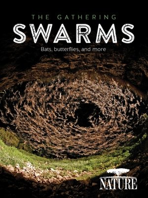 Poster The Gathering Swarms (2014)