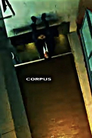 CORPUS 3