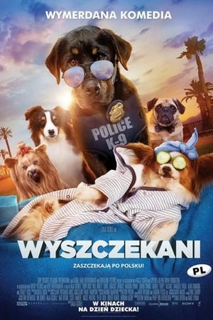 Poster Wyszczekani 2018