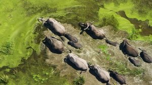 Planète Hostile 2019 en Streaming HD Gratuit !