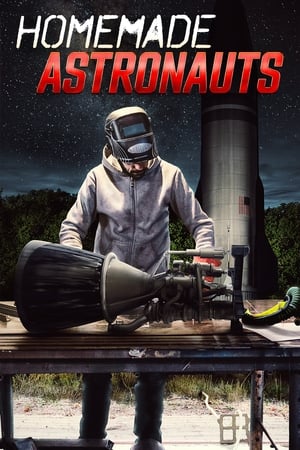 Image Homemade Astronauts