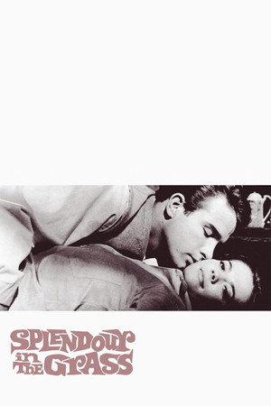 Постер фильма «Великолепие в траве (1961)» — (23 из 32)