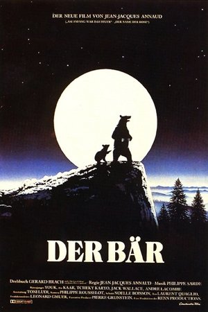 Image Der Bär