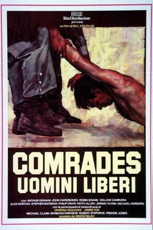 Image Comrades - Uomini liberi