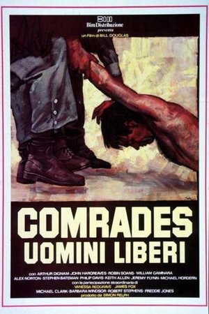 Comrades - Uomini liberi