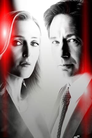 X-Files : Aux frontières du réel - poster n°3