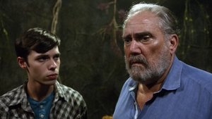 Death of a Fool Online En Netflix