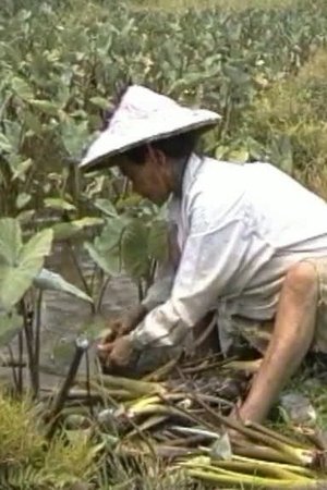 Nonton film Among the Yami (1997) terbaru sub indo Nonton film Among the Yami (1997) terbaru sub indo