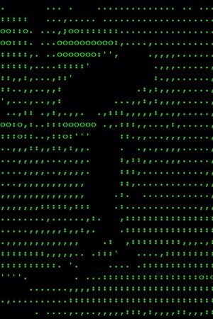 ASCII History of Moving Images (1998)