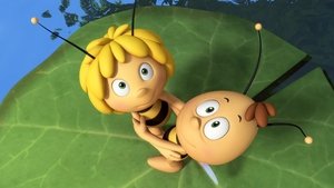 Maya the Bee Maya Don't Go!