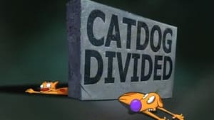 CatDog CatDog Divided