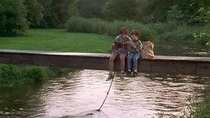 Mississippi – Fluss der Hoffnung (1995)