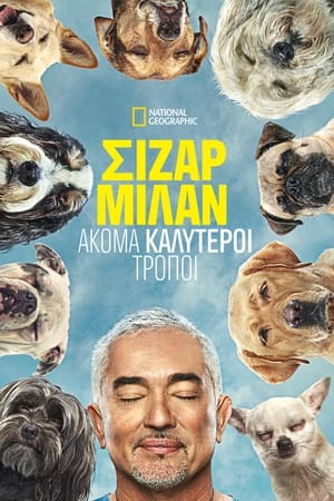 Image Cesar Millan: Better Human, Better Dog