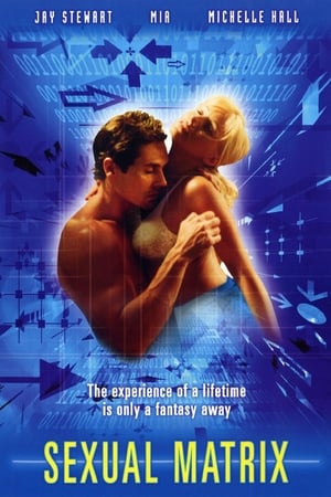 Poster Szex-akták: Szex a virtuális világban 2000