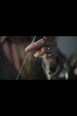 The wool trail (2020)