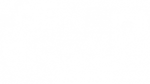 What's up Bunny