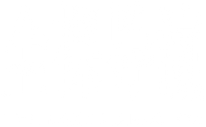 O Diretor Nu — Logos 1