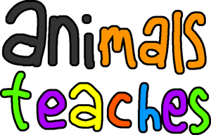 Animals teaches