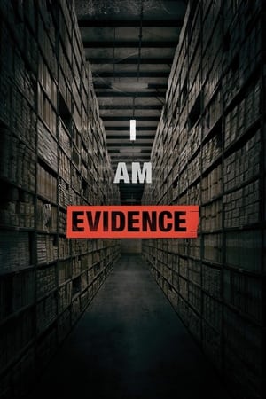 Poster I Am Evidence 2017