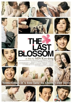 Poster The Last Blossom 2011