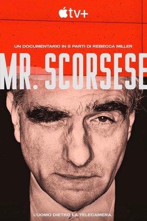 Image Mr. Scorsese