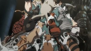 Nyaight of the Living Cat Dublado Episódio 12