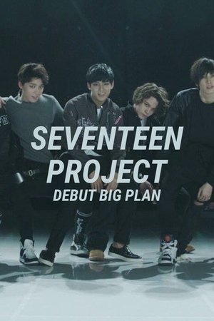 Seventeen Project : Debut Big Plan - Season 1