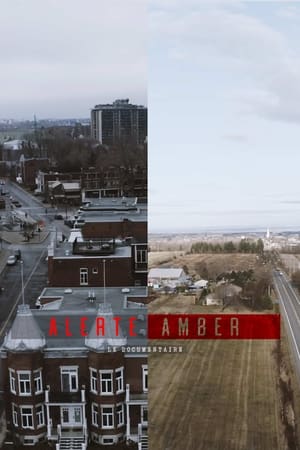 Image Alerte amber : le documentaire