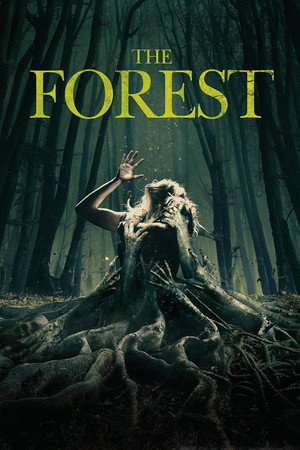 The Forest 64