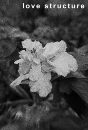 love structure