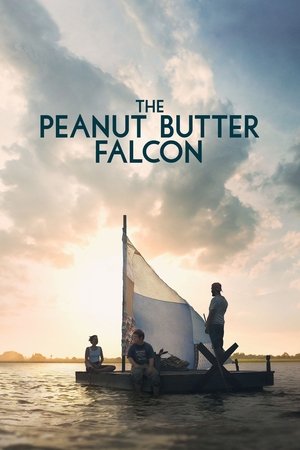 The Peanut Butter Falcon (2019) | Team Personality Map