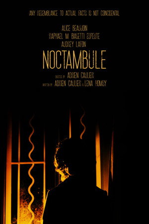 Noctambule 20